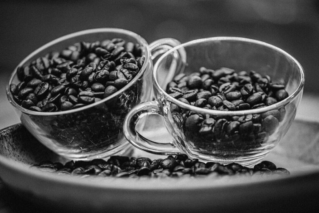 Arabica vs Robusta Coffee comparison