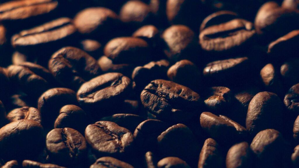 Blue Tokai Attikan Estate 100% Arabica Coffee Beans – Best Coffee Beans in India