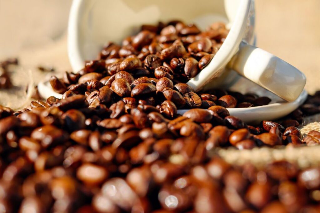 Sleepy Owl Premium Coffee Beans – Best Coffee Beans for Beginners in India